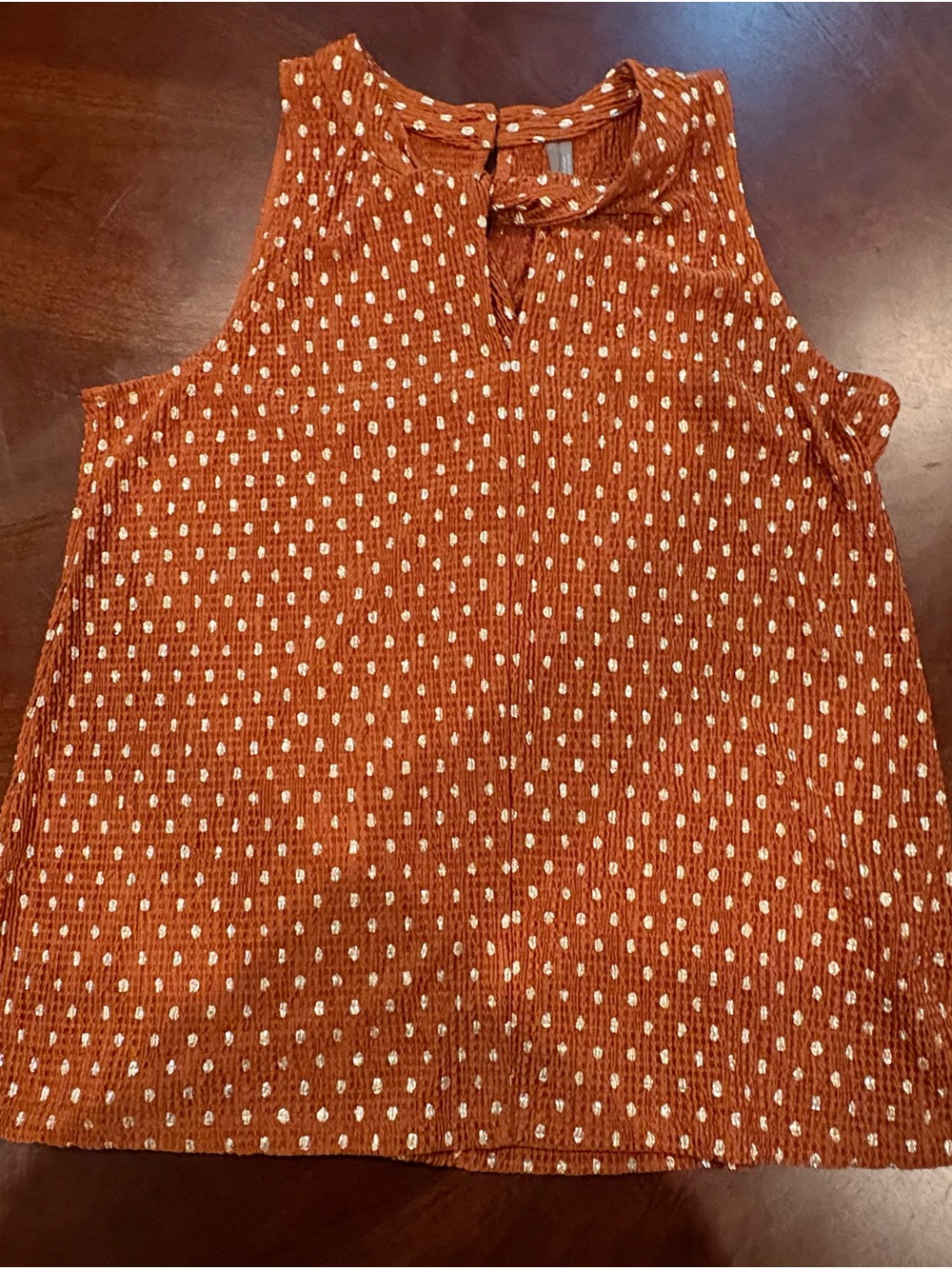 Anthropologie Lennox Metallic Gold Polka Dot Sleeveless Top Sz S